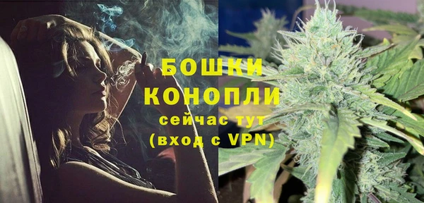 шишки Алексеевка